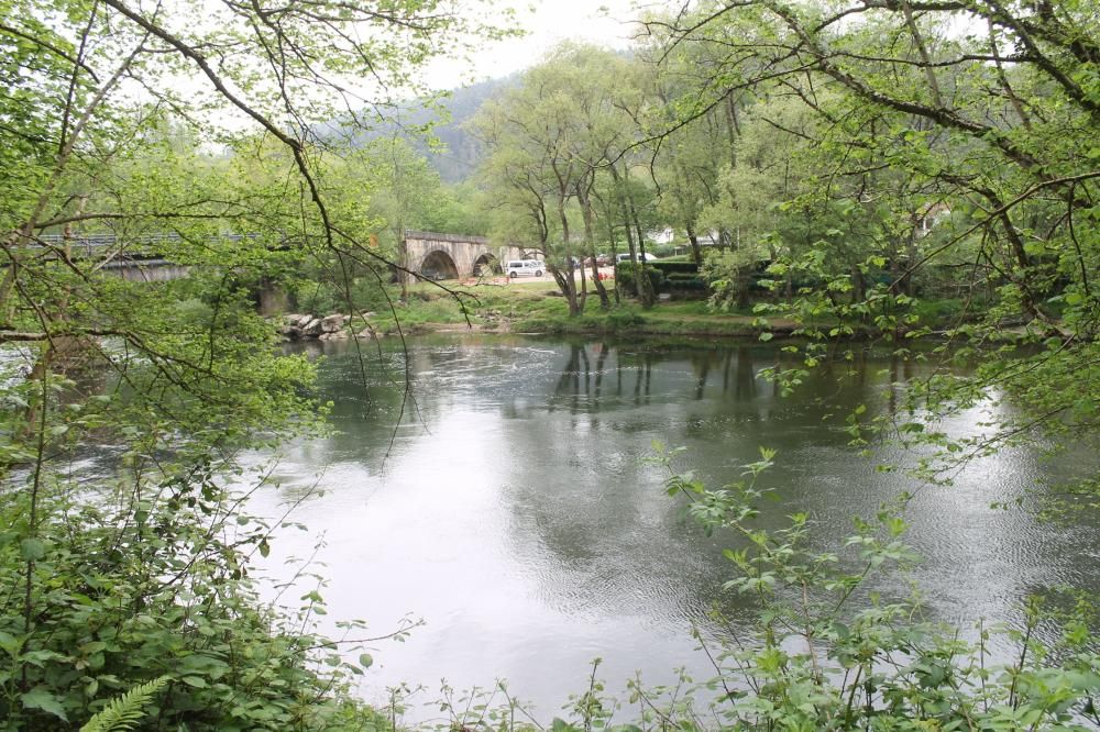 Asturias se prepara para capturar el Campanu