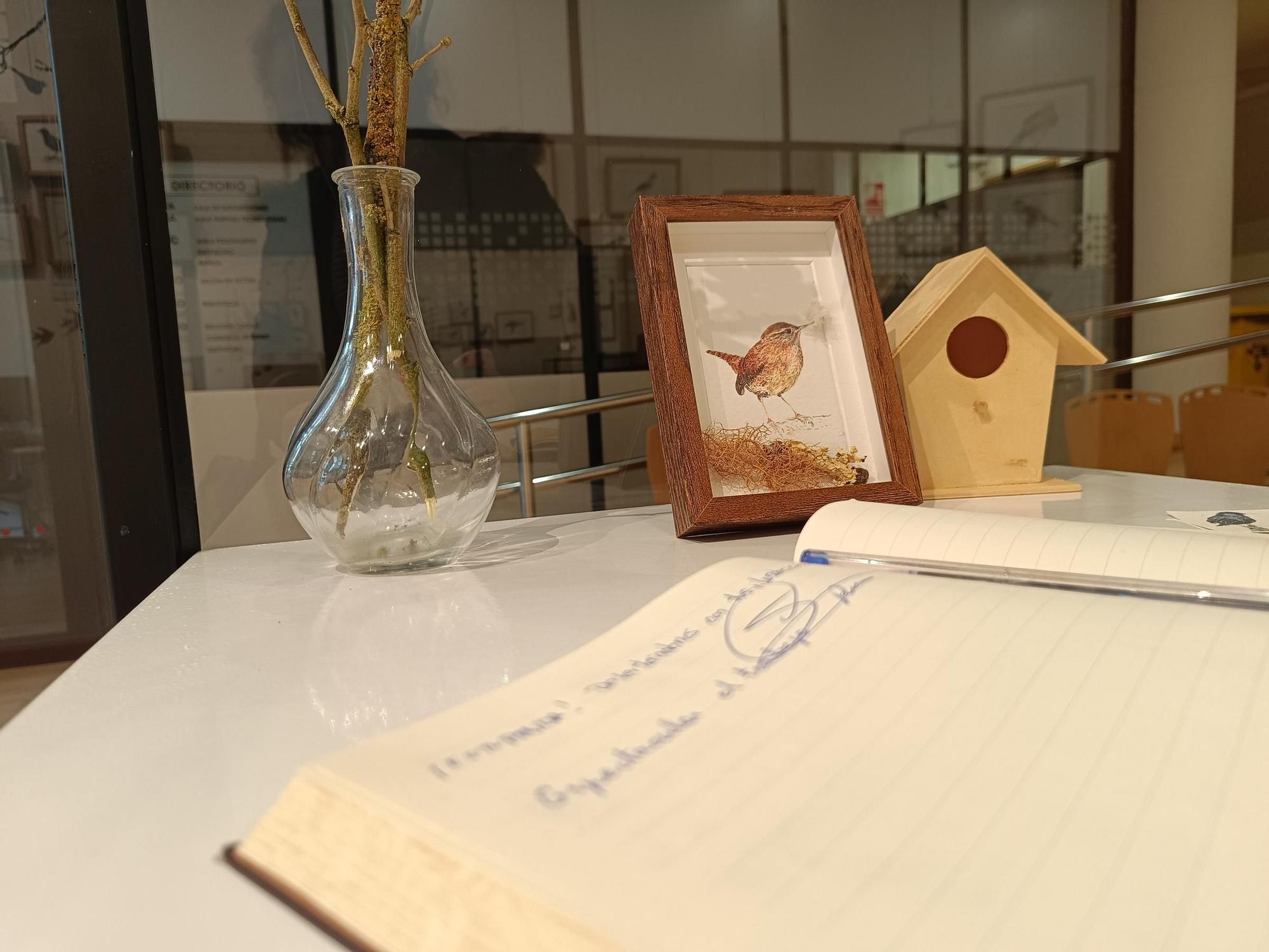 "Aves de tu entorno", la exposición de Isabel González en Posada de Llanera