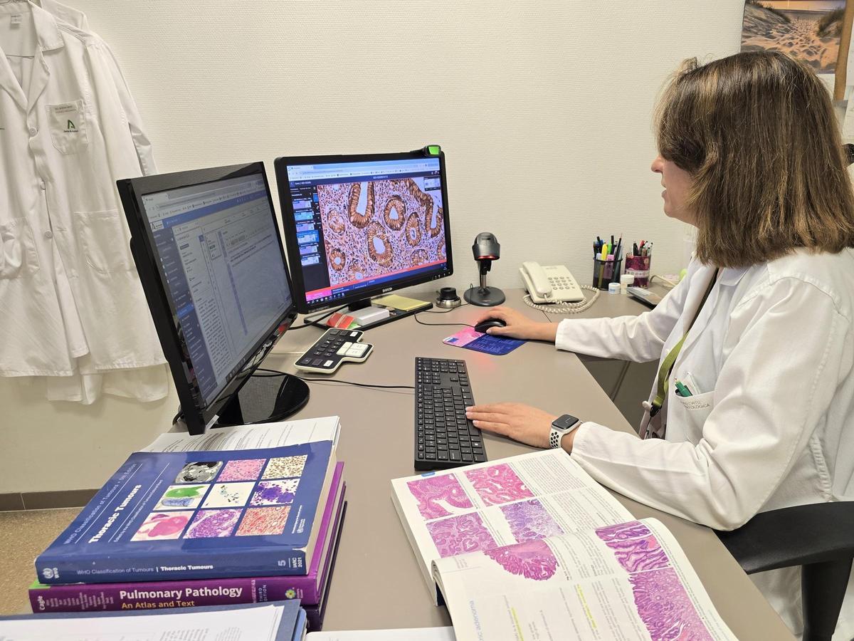 Trabajo en la unidad de Anatomía Patológica de Granada.