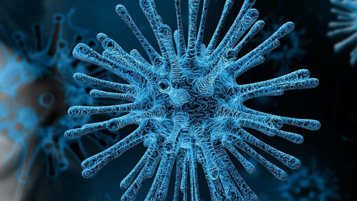 Imagen de coronavirus