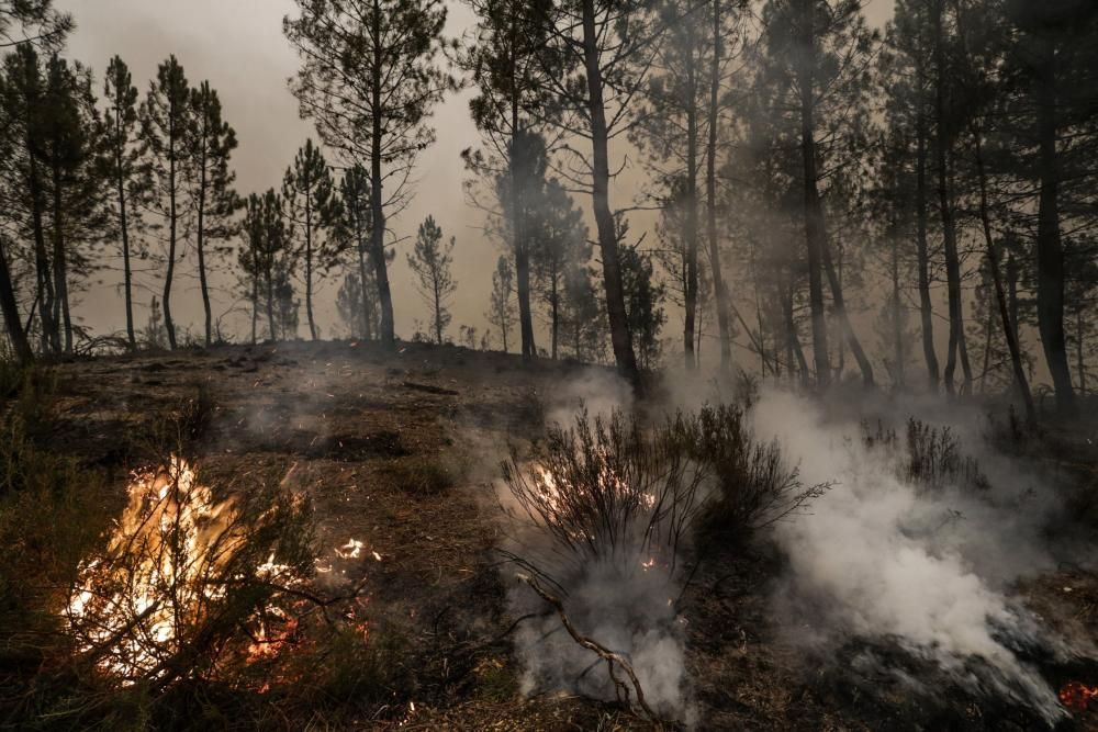 El suroccidente asturiano lucha contra las llamas