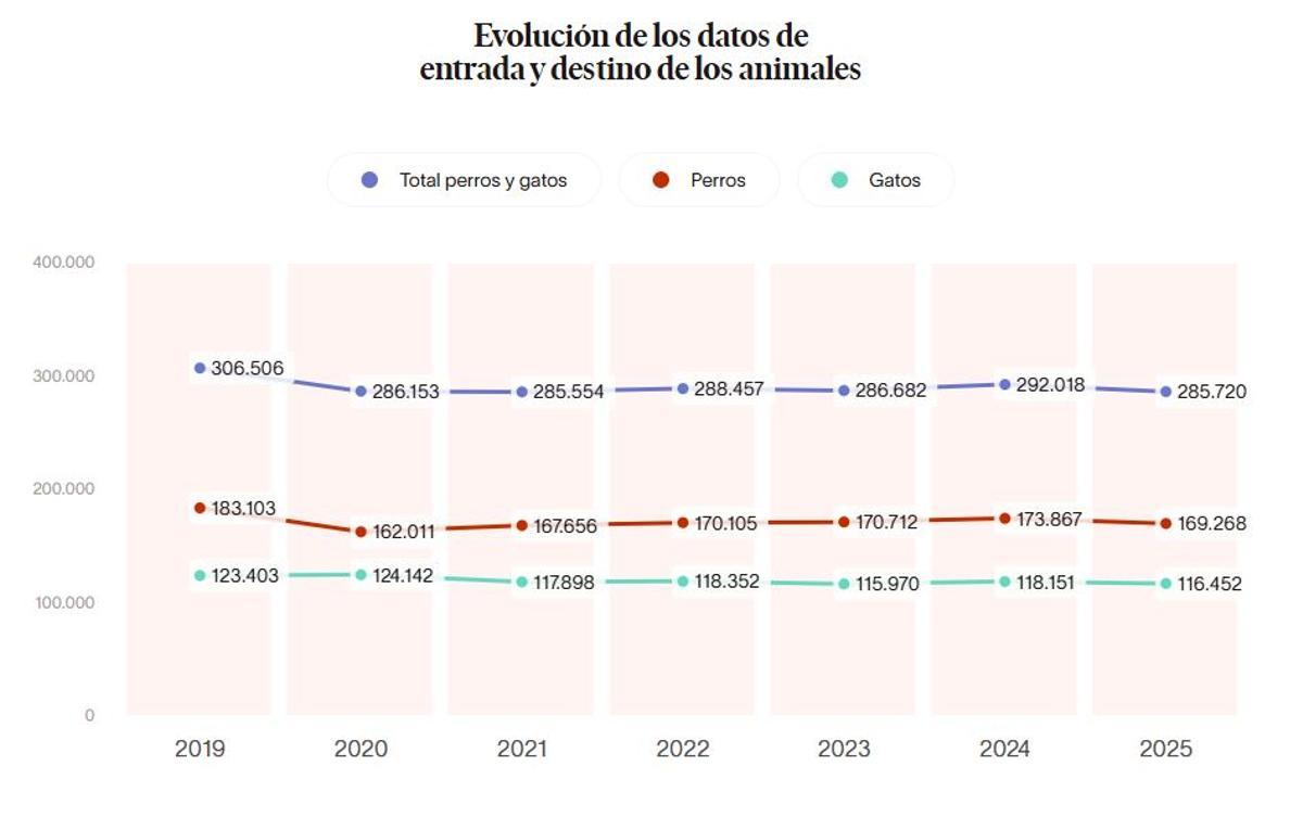 Evolución desde 2019 en España