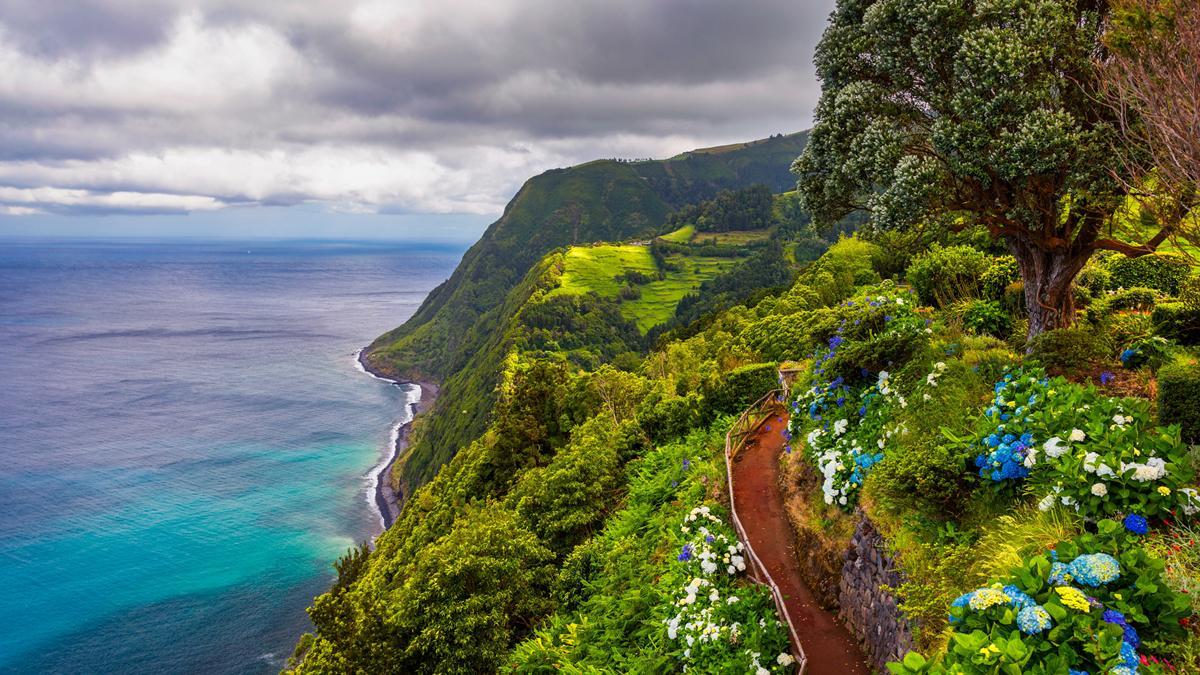 Camino en la isla de San Miguel, Azores.