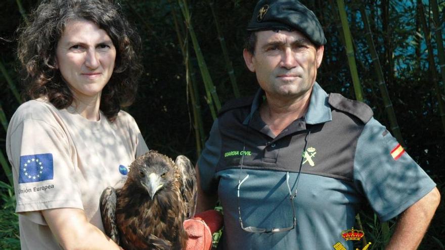 La Guardia Civil recupera dos aves en las localidades de Castellón y Vila-real