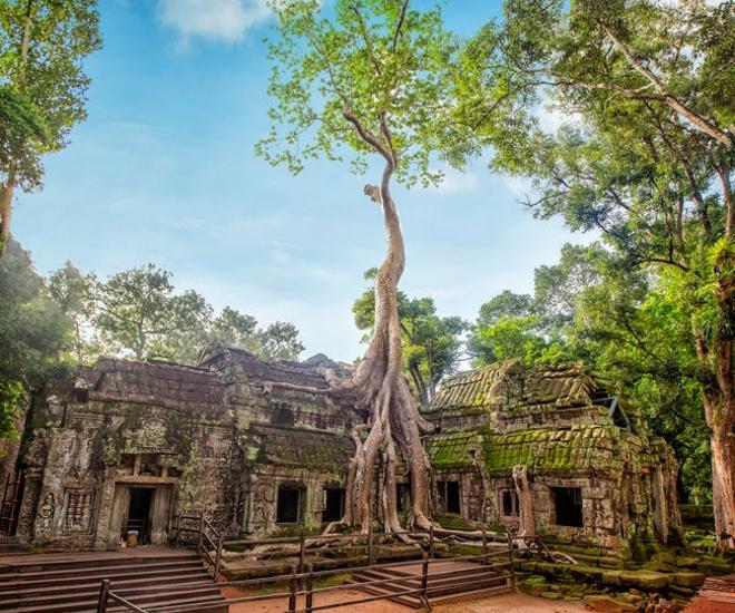 Ta Prohm