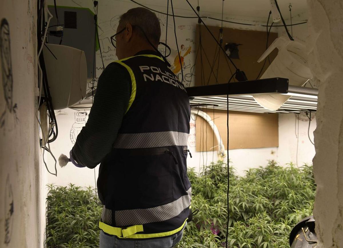 Las imágenes de la redada contra el narcotráfico en el Polígono de La Paz en Murcia Las imágenes de la redada contra el narcotráfico en el Polígono de La Paz en Murcia