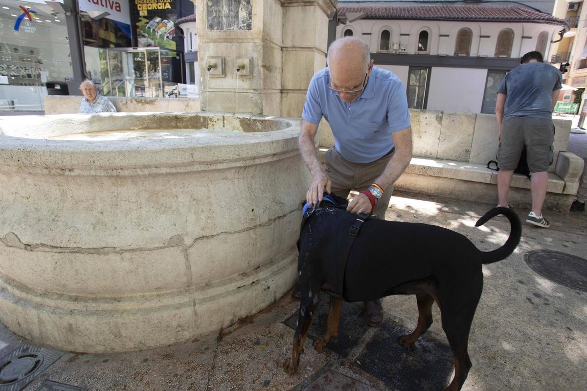 Un hombre refresca a su perro con agua de una fuente en Xàtiva, donde este viernes se han rozado los 34 ºC.