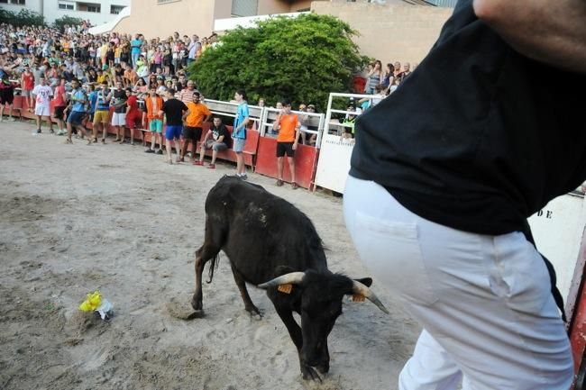 Les vaquetes de la festa major de Santpedor