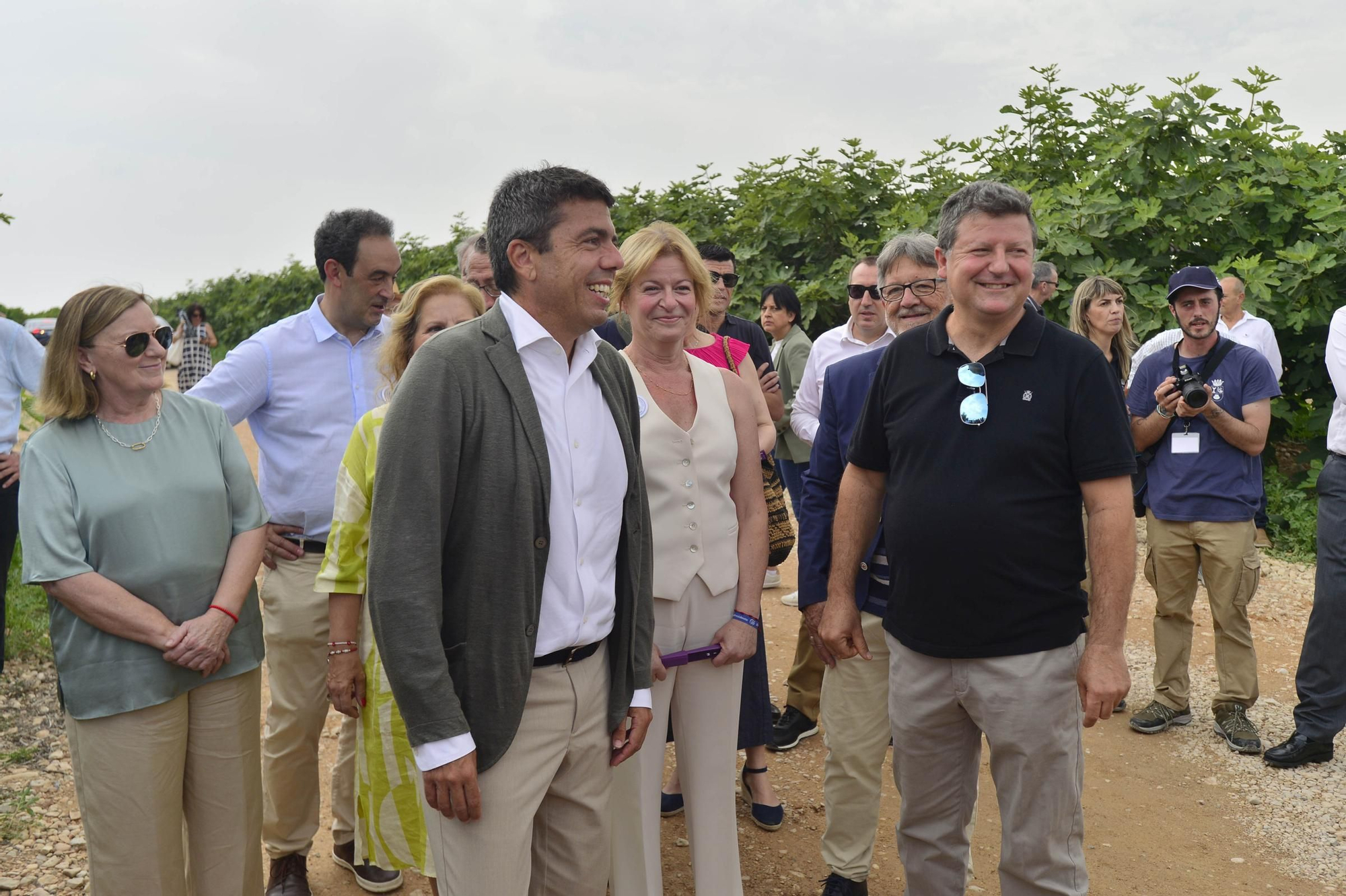 Acto simbólico del arranque de la campaña de breva colar de Albatera