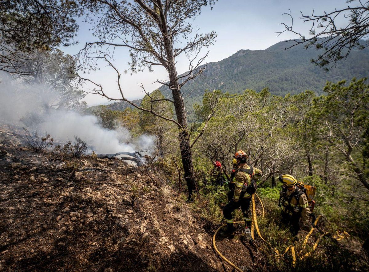 Mor un auxiliar forestal al caure per un barranc en el foc de Paüls Mor un auxiliar forestal al caure per un barranc en el foc de Paüls