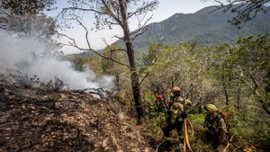 Mor un auxiliar forestal al caure per un barranc en el foc de Paüls