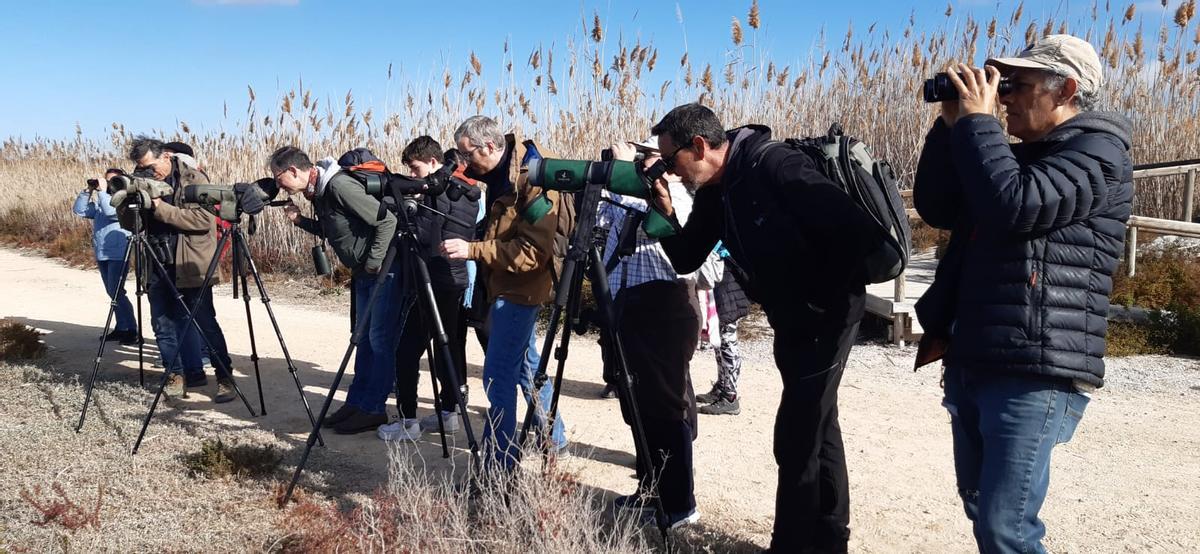 Ecologistas observan aves en las Salinas de Santa Pola