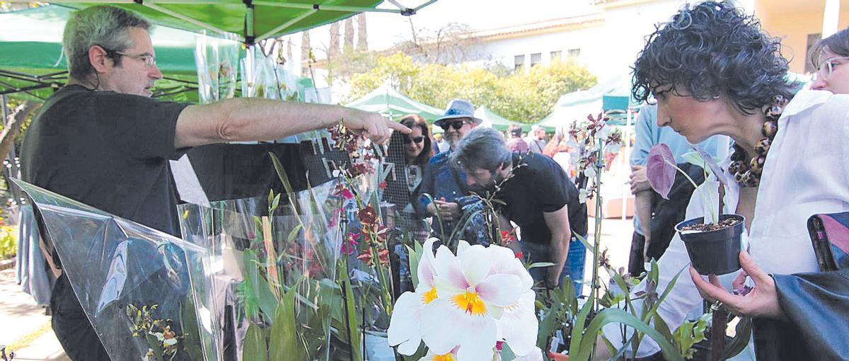 Mercado de orquídeas en el Jardín Botánico.