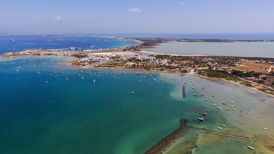 Podarcis es, sin duda, la consultoría medioambiental de referencia en Balears.