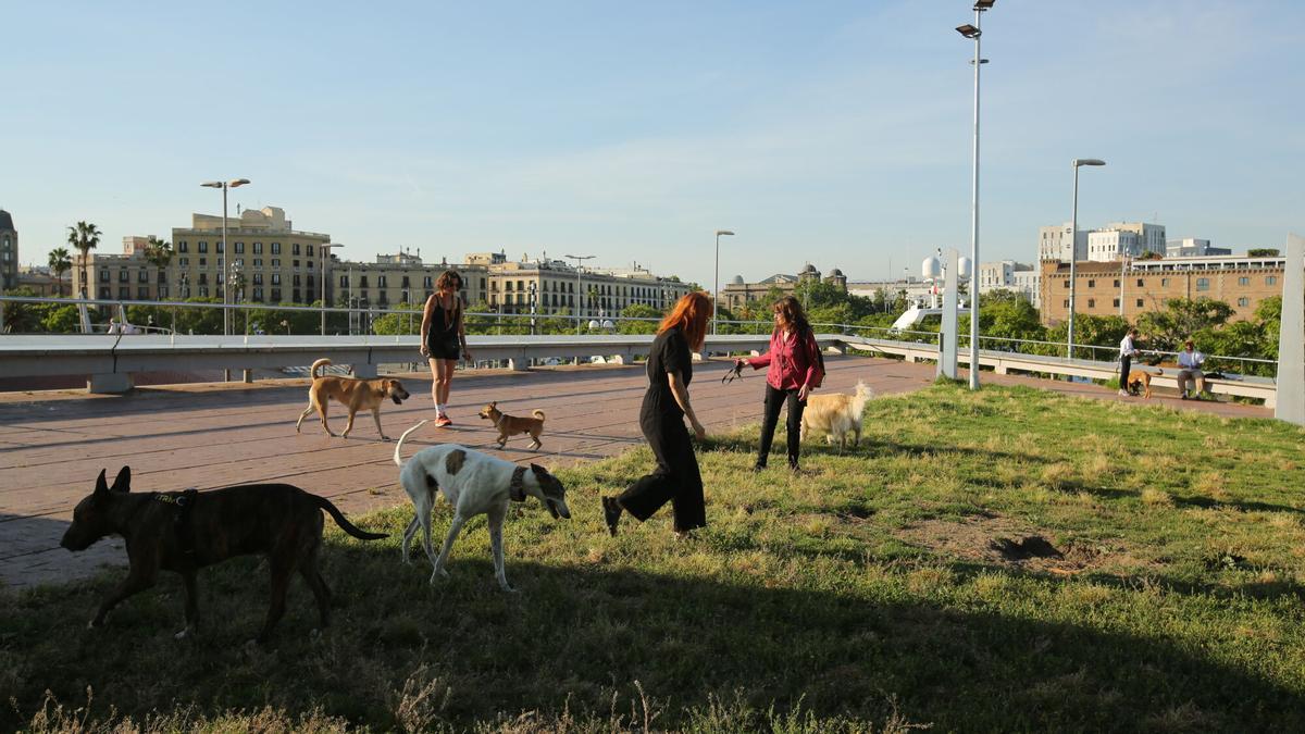 Propietarios de perro en el espacio donde reclaman una ZUC, en la plaza del Ictineo