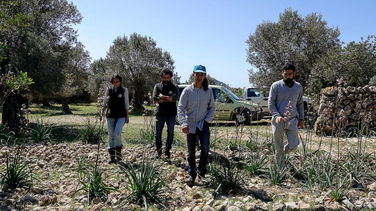 Propietarios de fincas y representantes de Apaema, ayer, en es Coll Gomà. | JUAN LUIS IGLESIAS