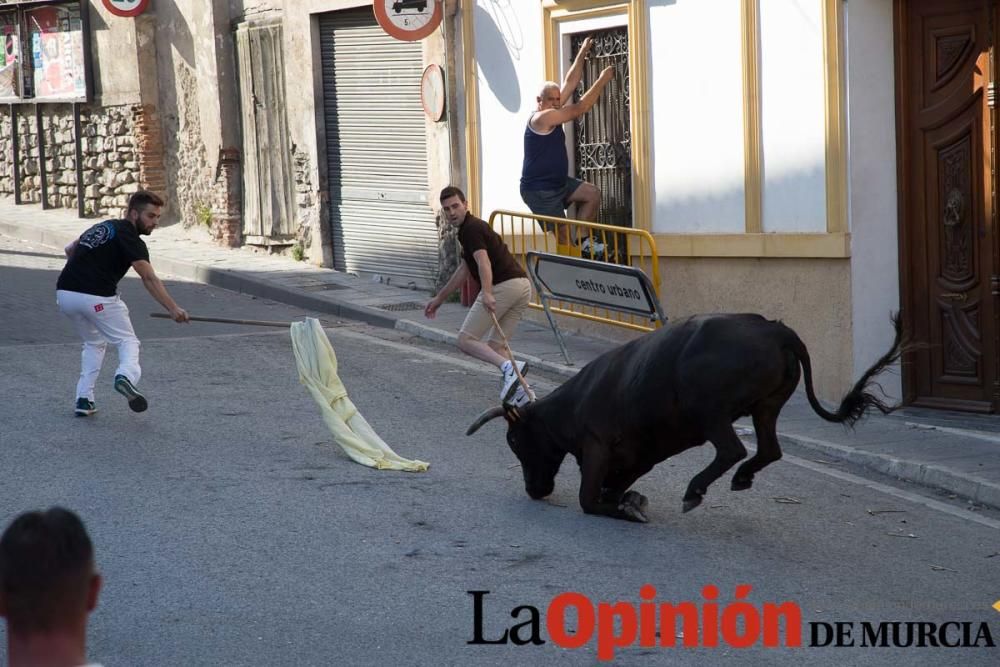 Cuarto encierro Fiestas de Moratalla