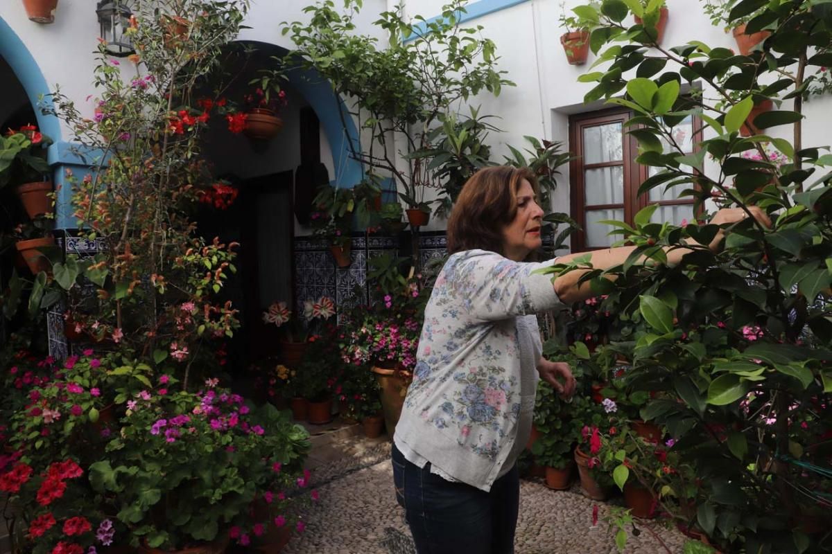 Los patios de Córdoba, San Andrés