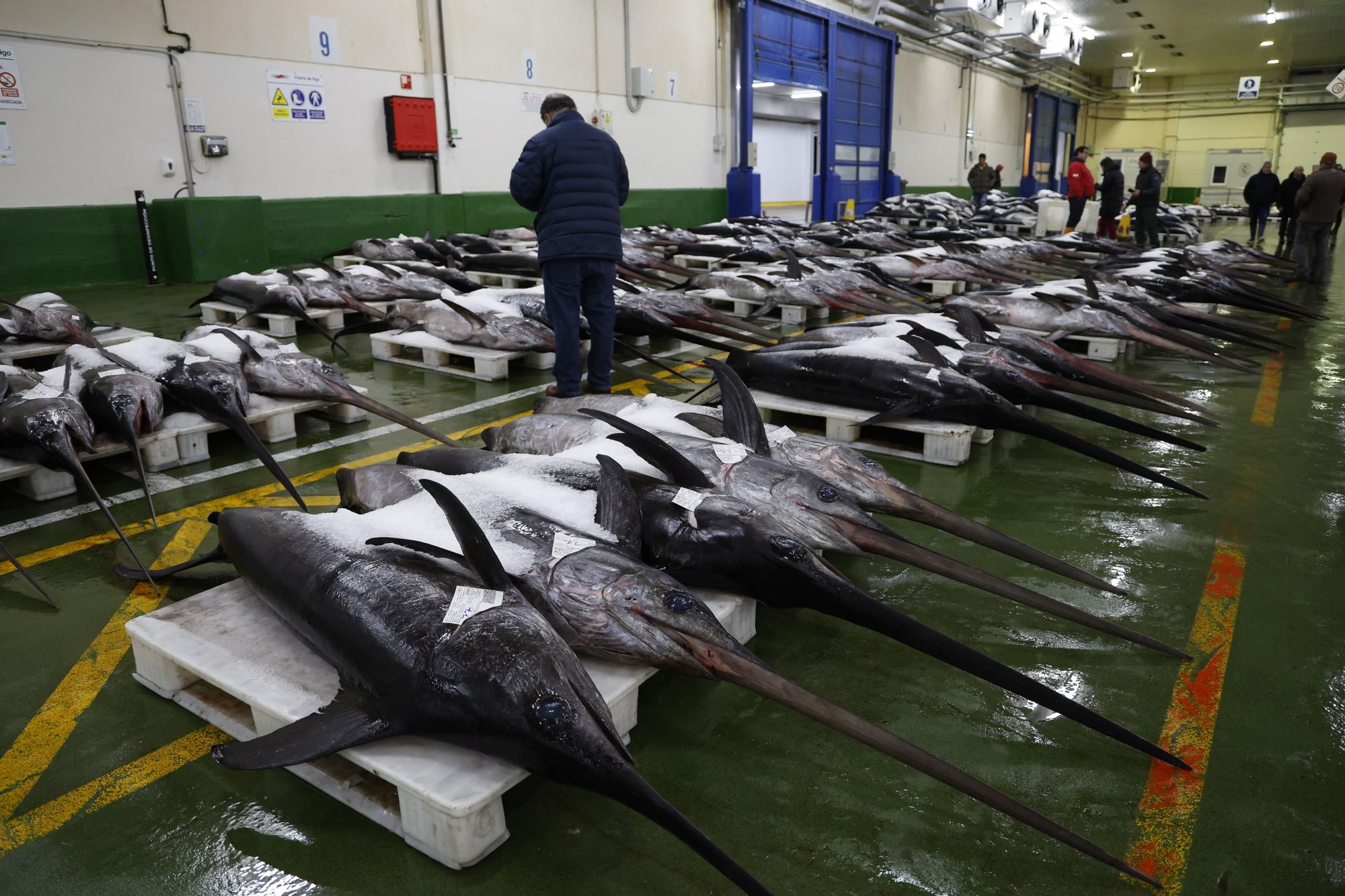 Barcos portugueses recurren a la lonja de Vigo para vender tintoreras y pez espada