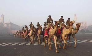 Membres de l’exèrcit indi travessen sobre camells un pas zebra en un carrer pròxim a la Casa de Govern, durant un assaig de la desfilada del Dia de la República, que se celebra el pròxim 26 de gener i commemora l’entrada en vigor de la Constitució índia el 1950, a Nova Delhi (Índia).