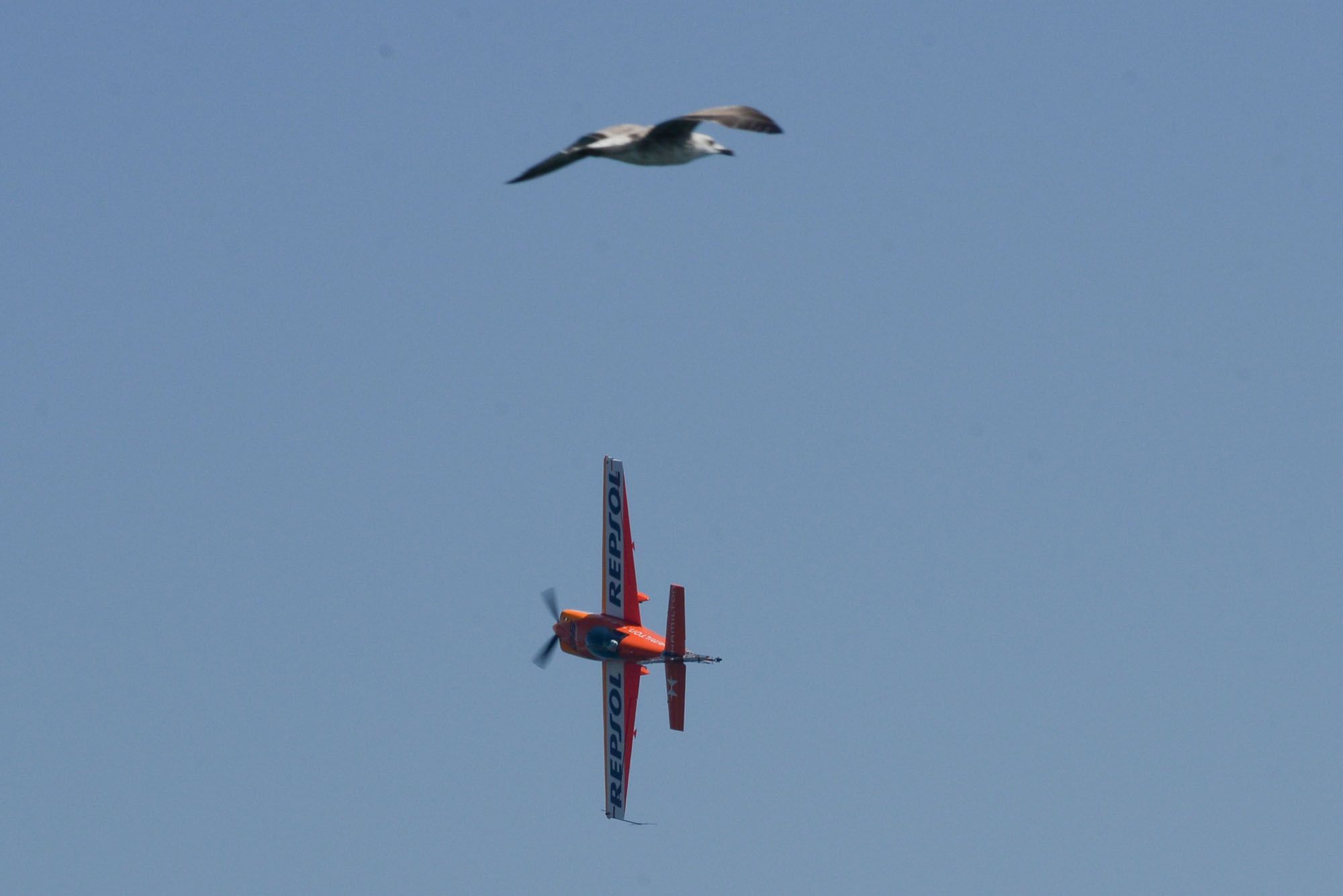 Las mejores imágenes del Festival Aéreo de Torre del Mar 2021