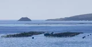 Un análisis señala al emisario municipal de Telde como origen de un vertido fecal