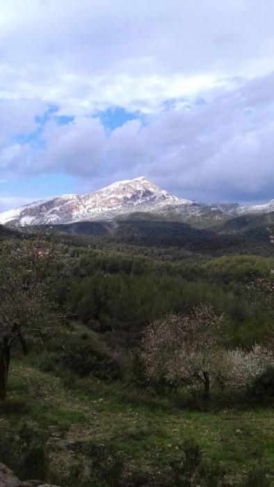 Puig de Galatzó am Samstagmorgen (10.2.).