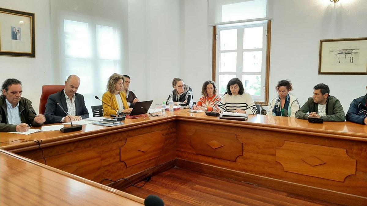 La portavoz popular, Elena Estévez, durante una intervención en el último pleno.   | // FARO