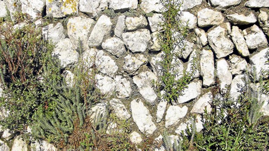 Typischer geht&#039;s kaum: Steinmauer auf Mallorca
