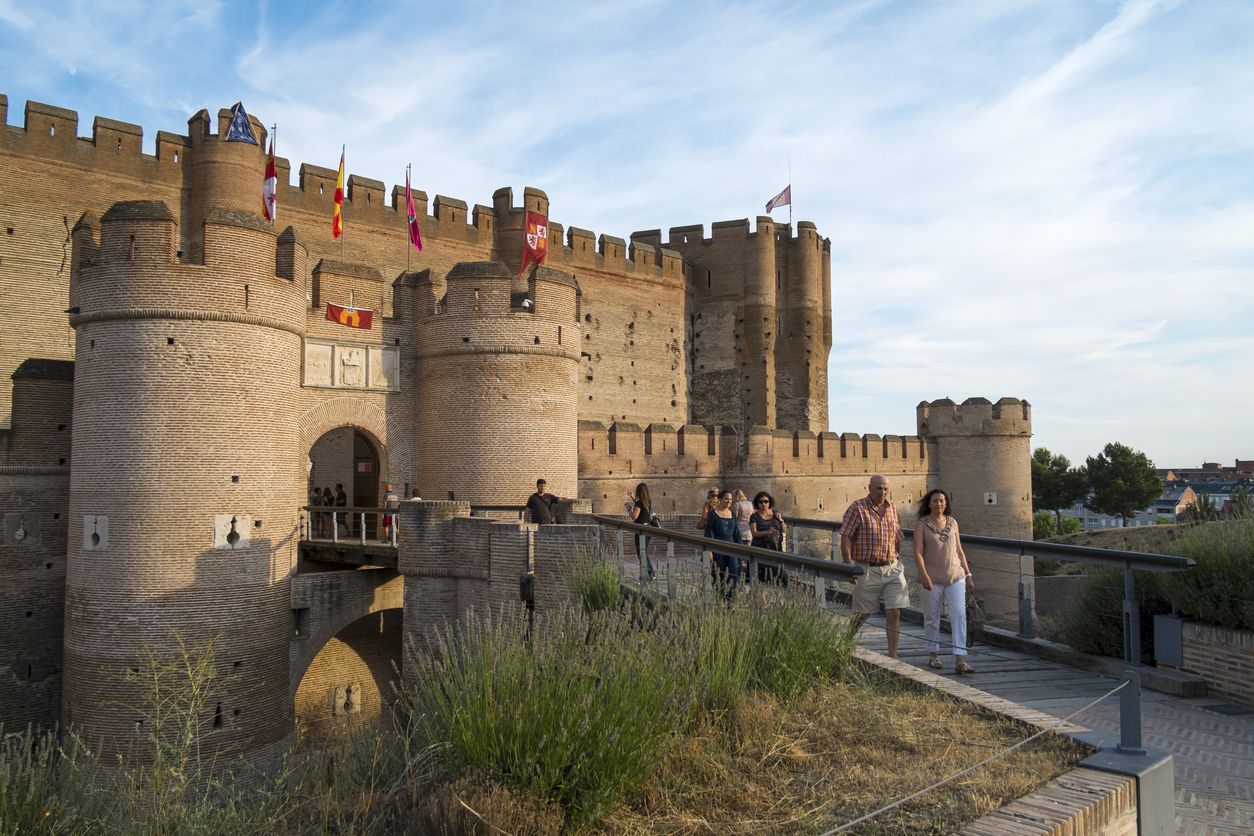 Imagen del Castillo de la Mota.