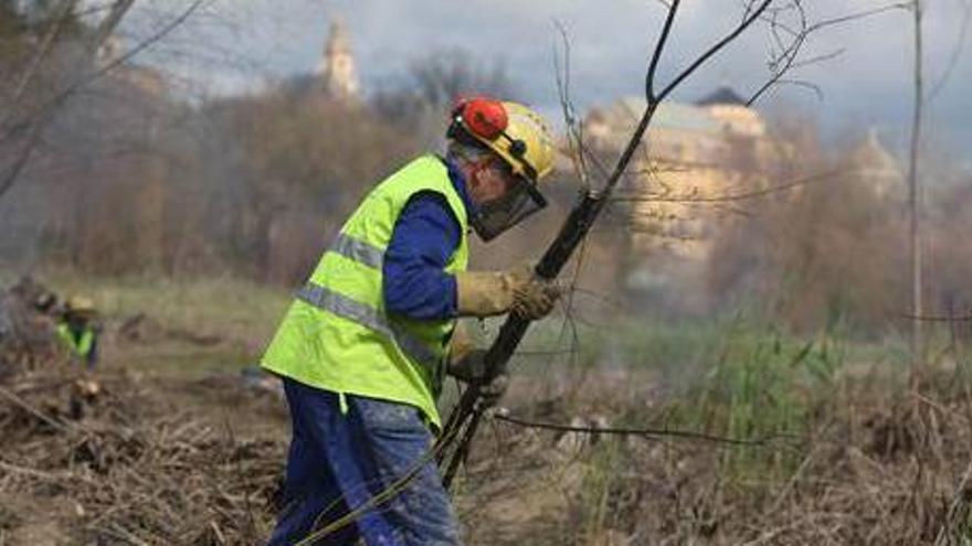 La Junta reanuda los trabajos de restauración del monumento natural de Los Sotos de la Albolafia