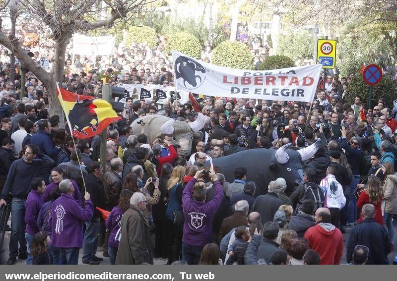 GALERÍA DE FOTOS -- Seguimiento de la manifestación protaurina -- Parte 1