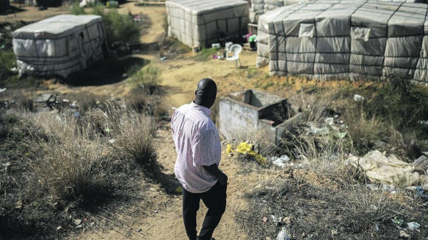 Un hombre observa parte de un campamento de chabolas en la localidad onubense de Lepe.