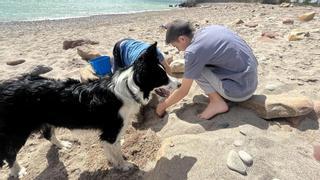 Mejoran una de las playas referentes para perros en Castellón