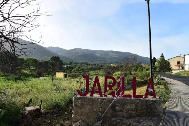 Del fuego a los brotes verdes: las cicatrices del incendio de Jarilla, un año después