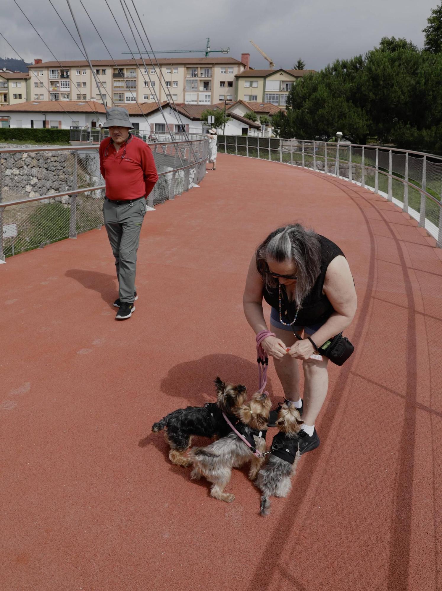 Inauguración del parque lineal de entrada a Oviedo por la "Y"