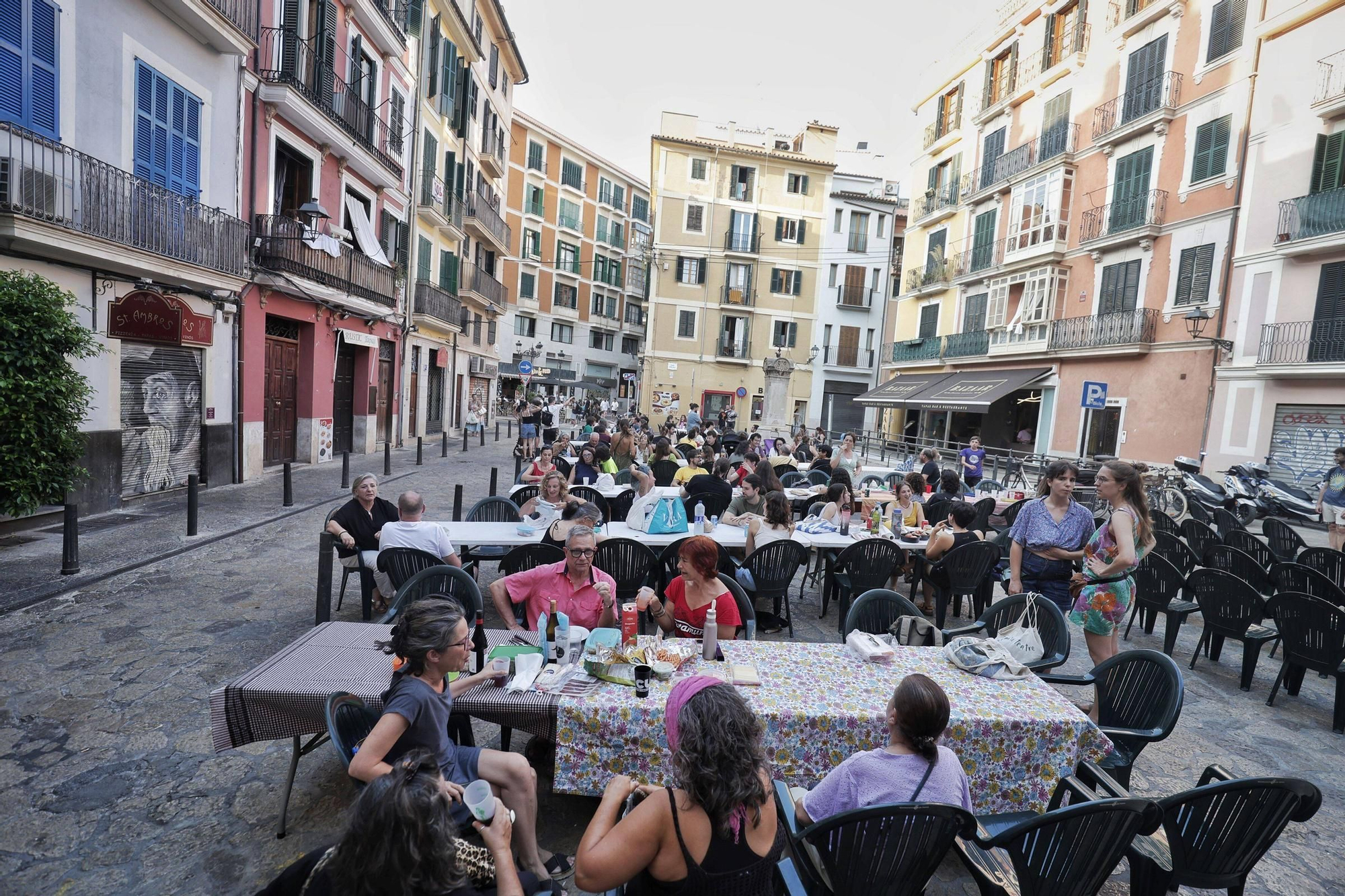 Truc en las plaza d'en Coll de Palma