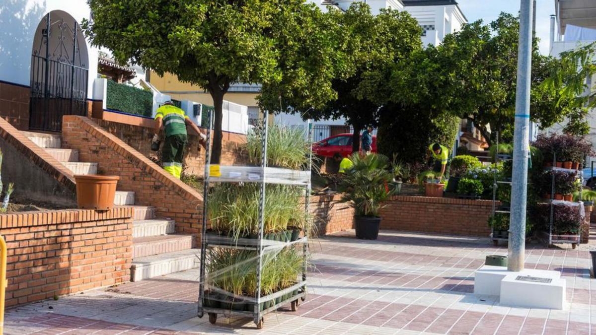 Operarios de jardinería colocan las plantas decorativas en la plaza.