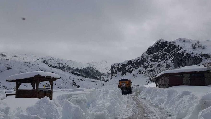 Los lagos de Covadonga, nevados ayer, un día antes de ponerse en marcha el plan de transporte del Principado.