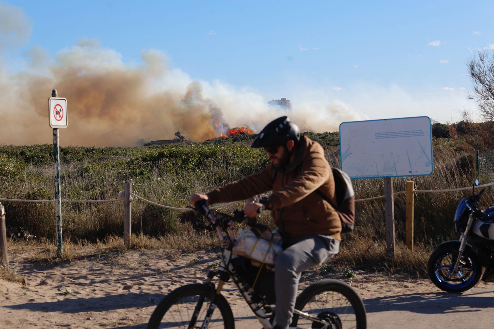 Declarado un incendio en el Saler