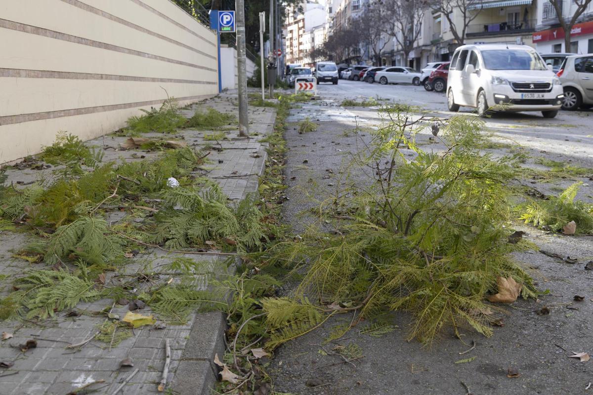 El temporal asociado a la borrasca Kristin ha dejado imágenes de impacto en Xàtiva, las rachas de viento han alcanzado niveles huracanados