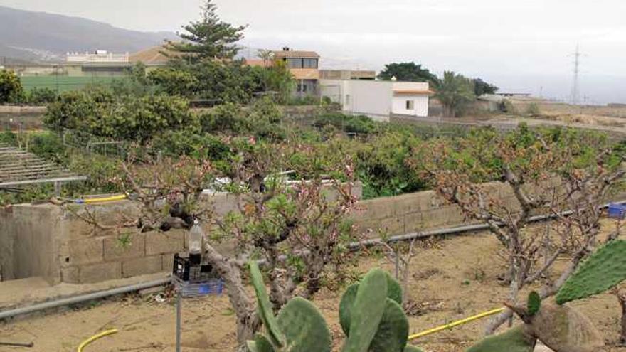 LIbertad con cargos para el anciano que mató a un ladrón en Tenerife