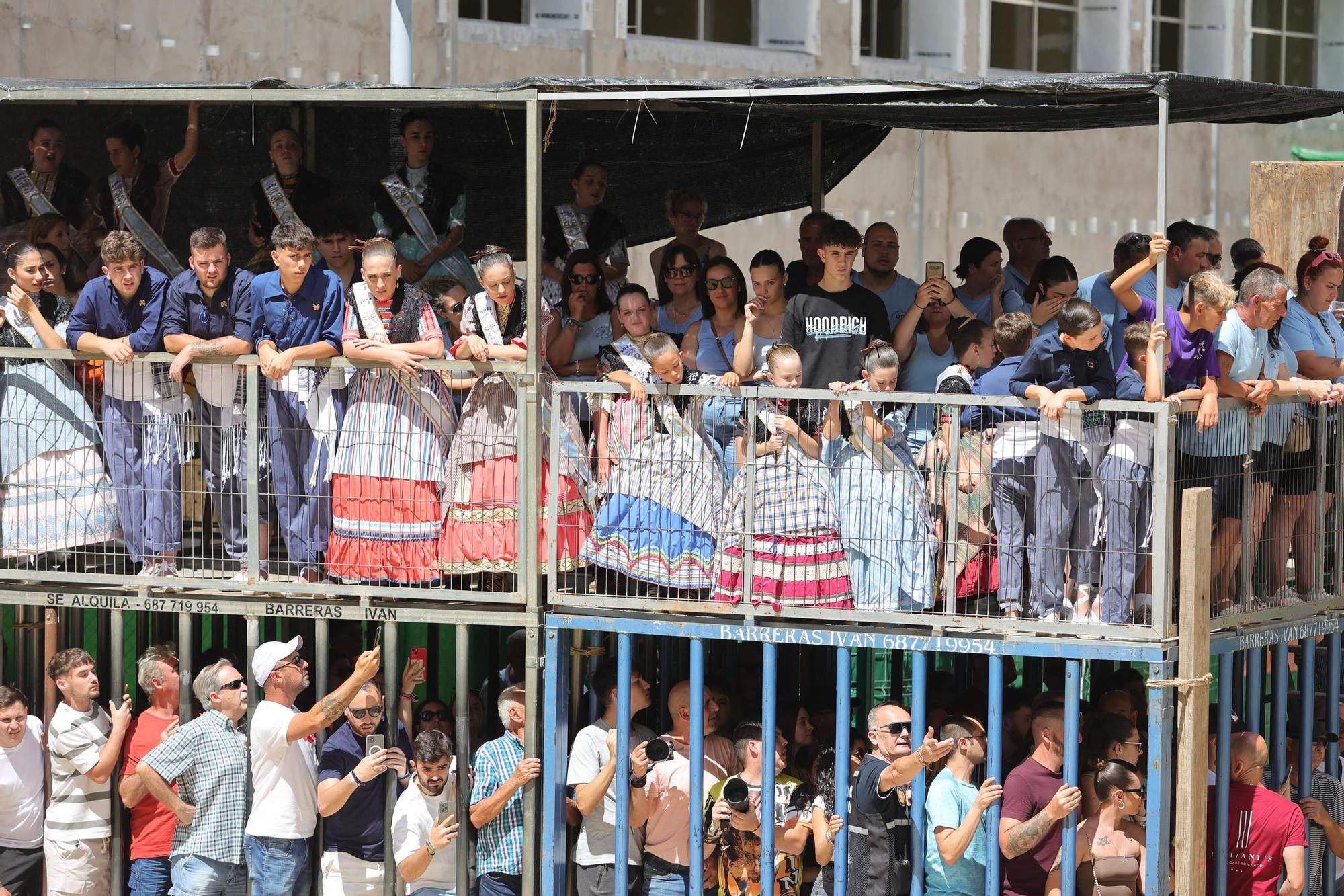 Encierro de cerriles en las fiestas de Sant Pere del Grau