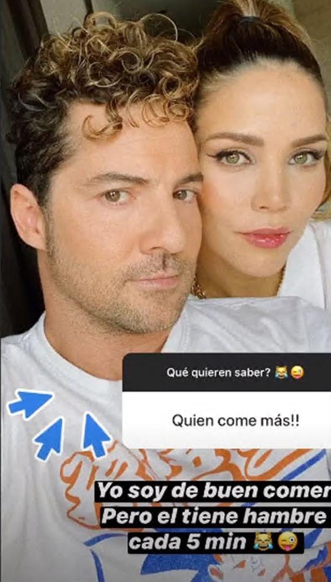 Rosanna Zanetti y David Bisbal en los 'stories' de Instagram