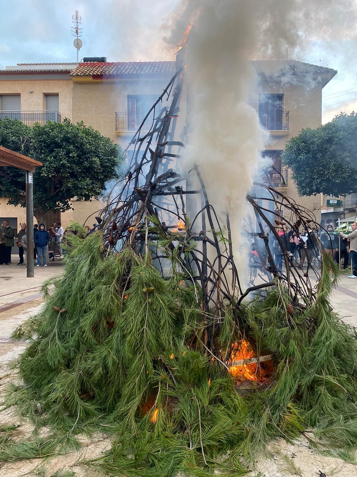 Daimús, Guardamar, Xeraco, l'Alqueria, Piles y Xeraco se vuelcan con Sant Antoni