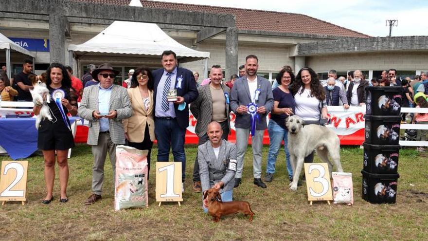 Los galardonados en el premio de belleza canina.  