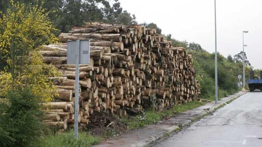 La madera está apilada en el entorno del polígono industrial de Castiñeiras y fue cortada en Borrallido.