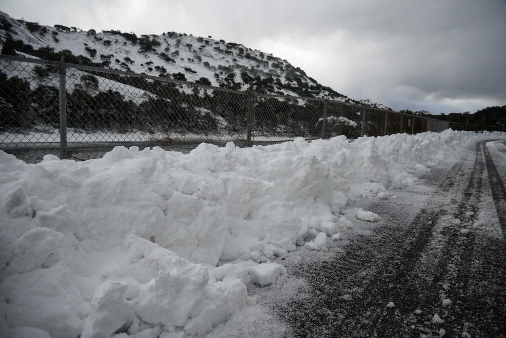 Der frühe Schnee hat am Samstag (2.12.) zahlreiche Insulaner in die Tramuntana gelockt, wo es die seltene Gelegenheit zu Schneeballschlachten oder zum Bau von Schneemännern gab.