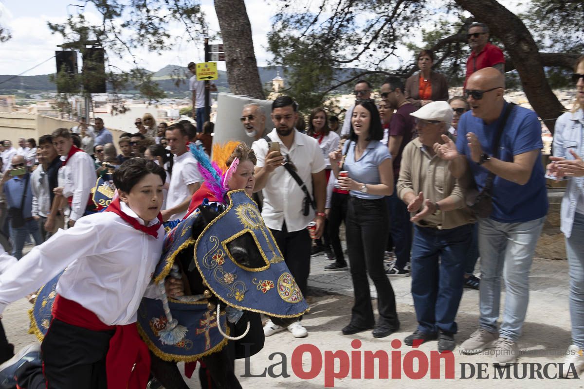 Fiestas de Caravaca | Desfile infantil del Bando de los Caballos del Vino
