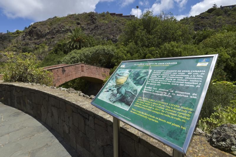 Accesibilidad en el Jardín Canario